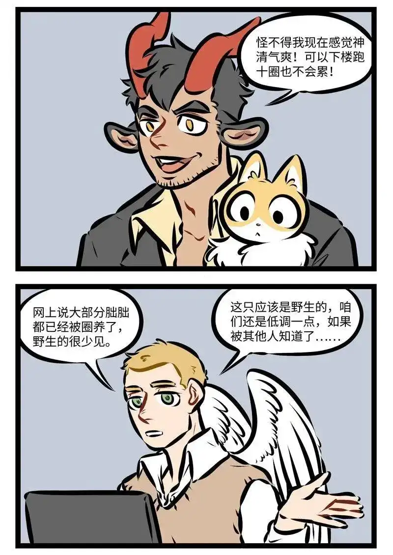 第245话何以解忧，唯有撸猫！-1031万圣街_h-分子互动（第1张）