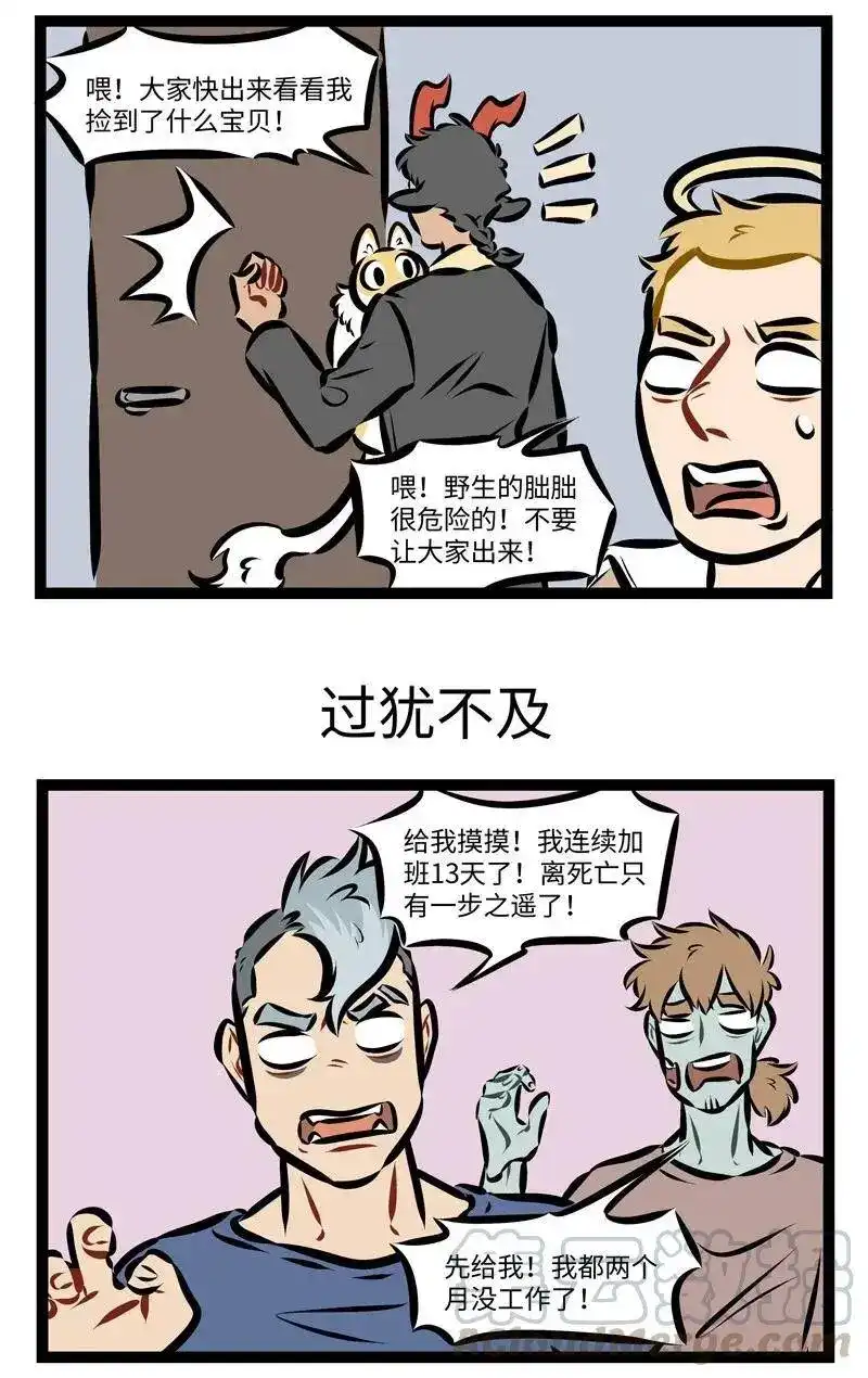 第245话何以解忧，唯有撸猫！-1031万圣街_h-分子互动（第2张）