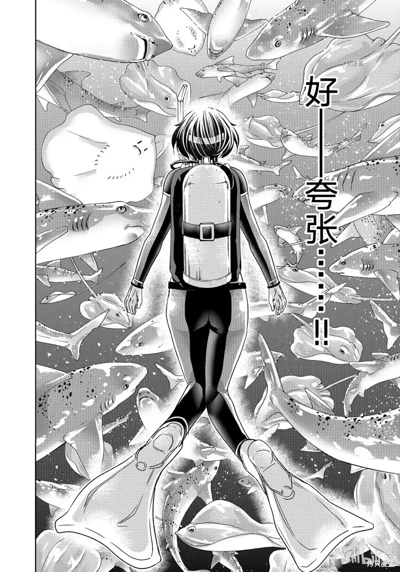 单话第81话-GRANDBLUE碧蓝之海-井上坚二 / 吉冈公威（第25张）