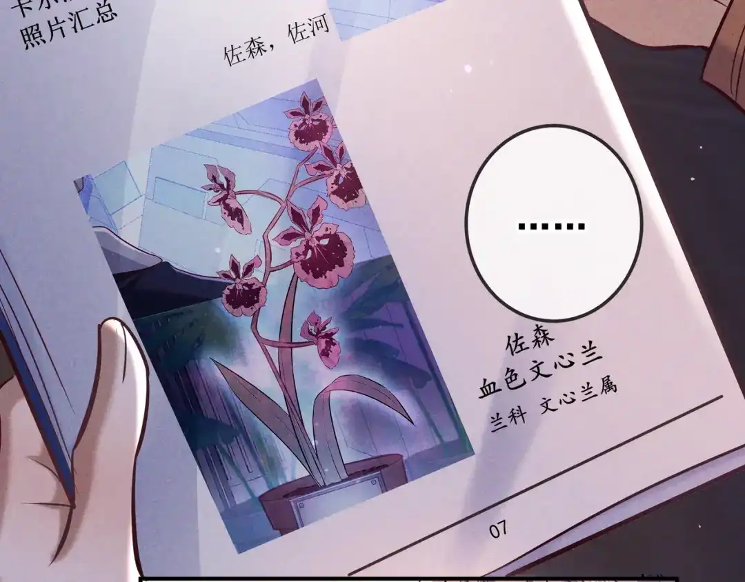第86话碎片重组-爱与杀意之夜-希尼_谢莫尔（第8张）