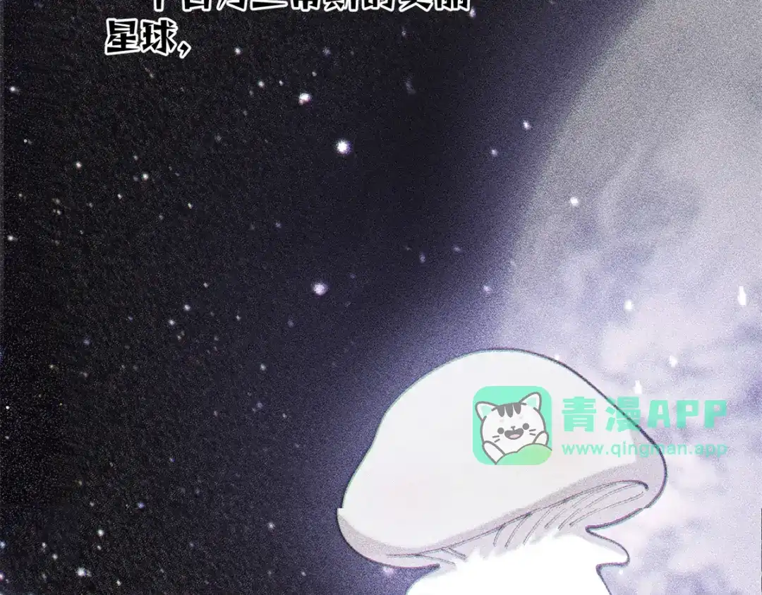 196晚晚，等着我！-白天被逃婚晚上被奶凶指挥官求抱抱-织女星（第10张）