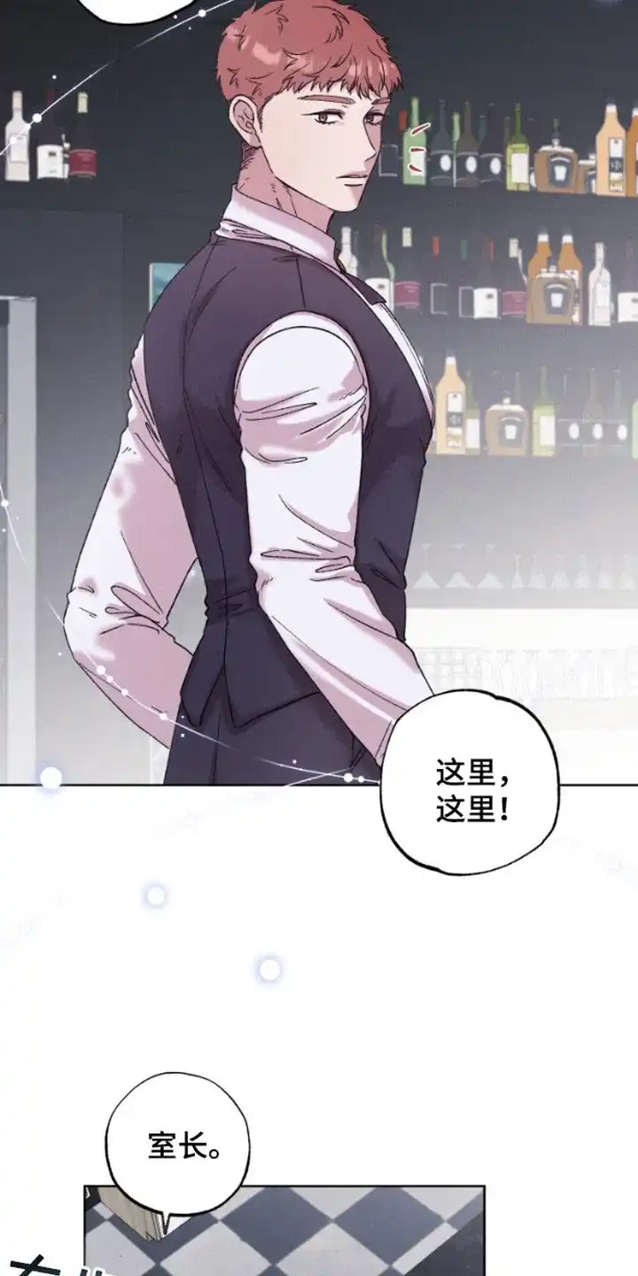 第4话-被蛛网困住的鸟-ESL（第7张）