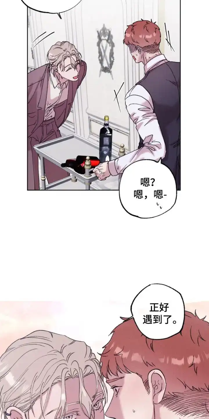 第4话-被蛛网困住的鸟-ESL（第19张）