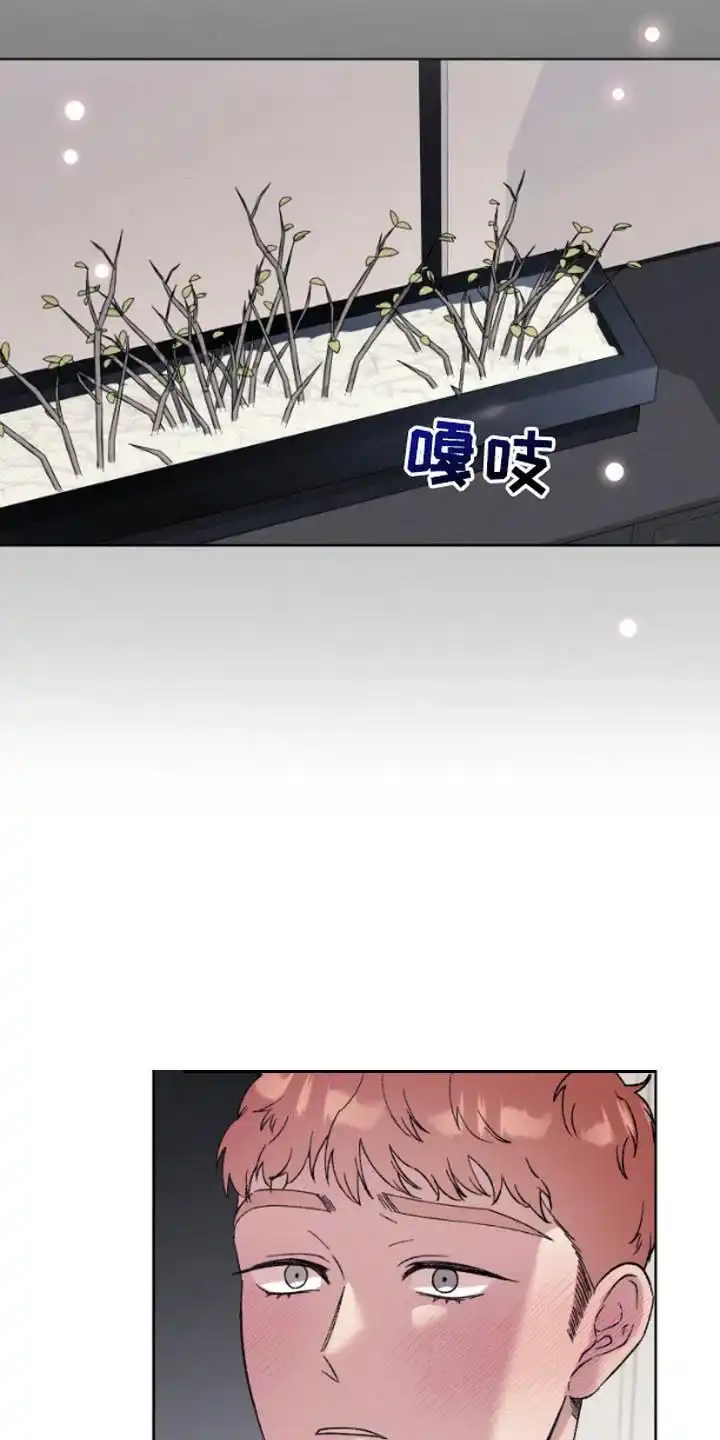 第5话-被蛛网困住的鸟-ESL（第12张）