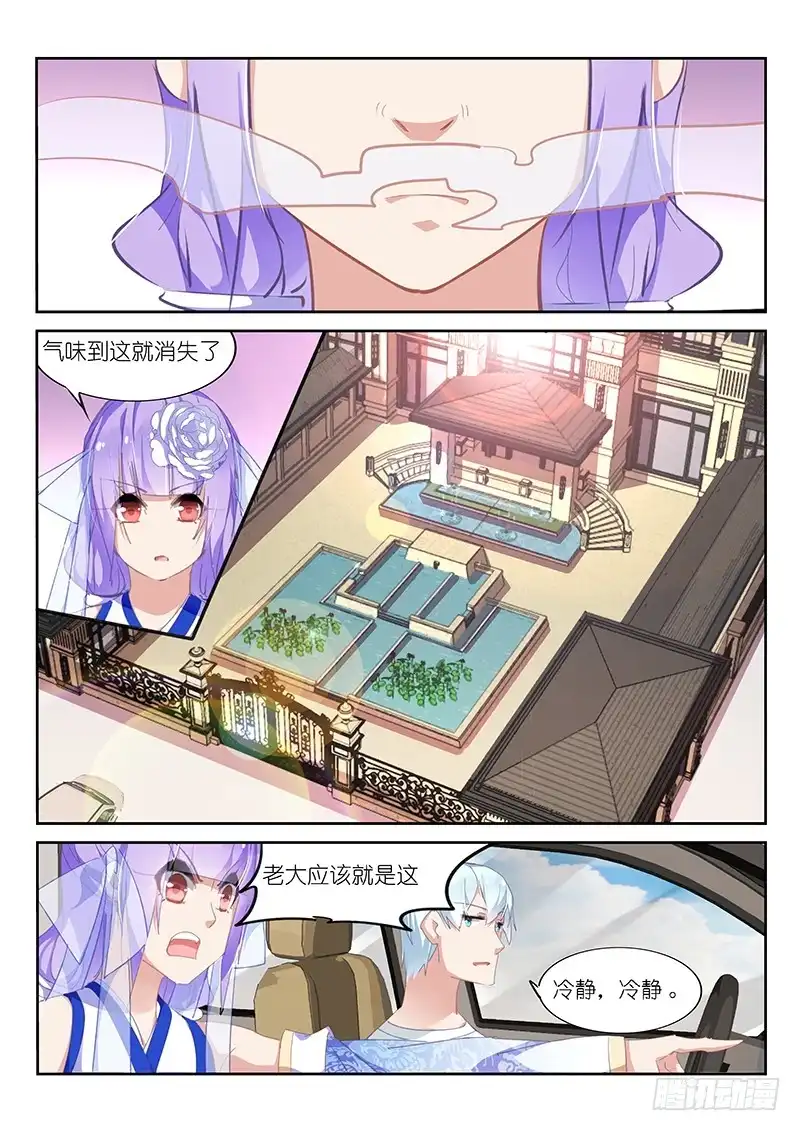 第133话-不二掌门-三福动漫,三福君（第2张）