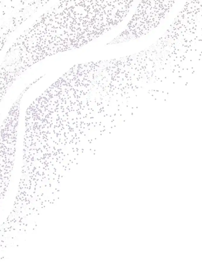 第88话-成为顶流男团的忙内-Kang seoul,mattgom（第5张）