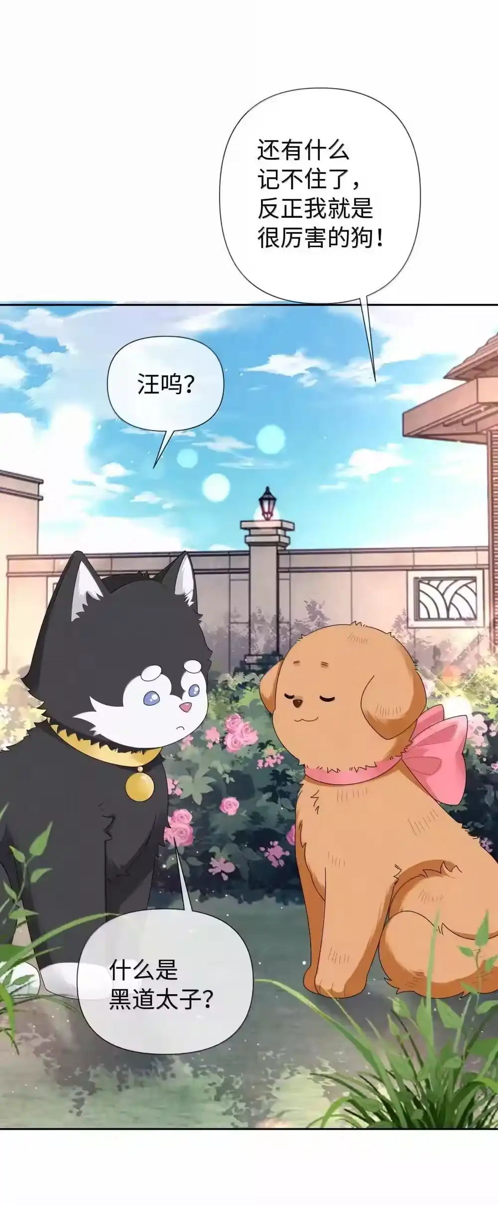 番外三光宗的一天·完-迪奥先生_h-晋江文学城,绿野千鹤,原点格子漫画（第9张）