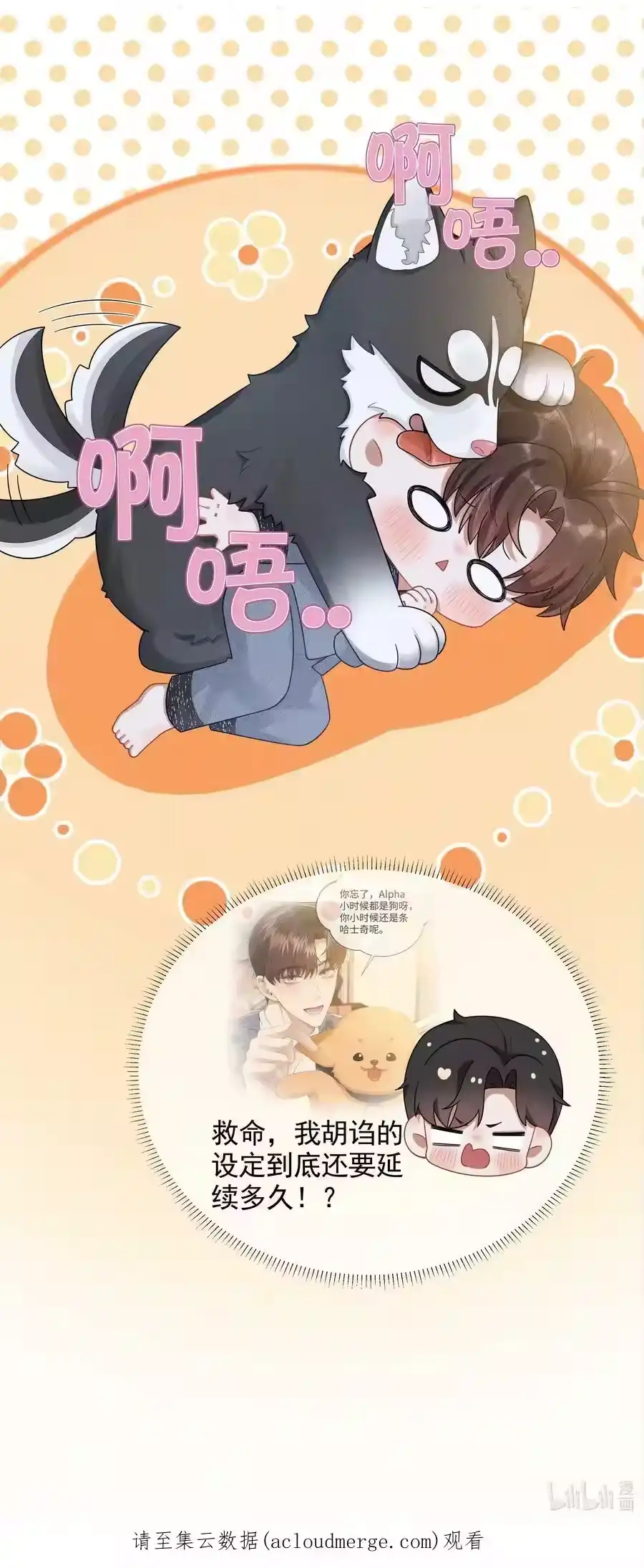 055该喂哈士奇！-迪奥先生_h-晋江文学城,绿野千鹤,原点格子漫画（第31张）