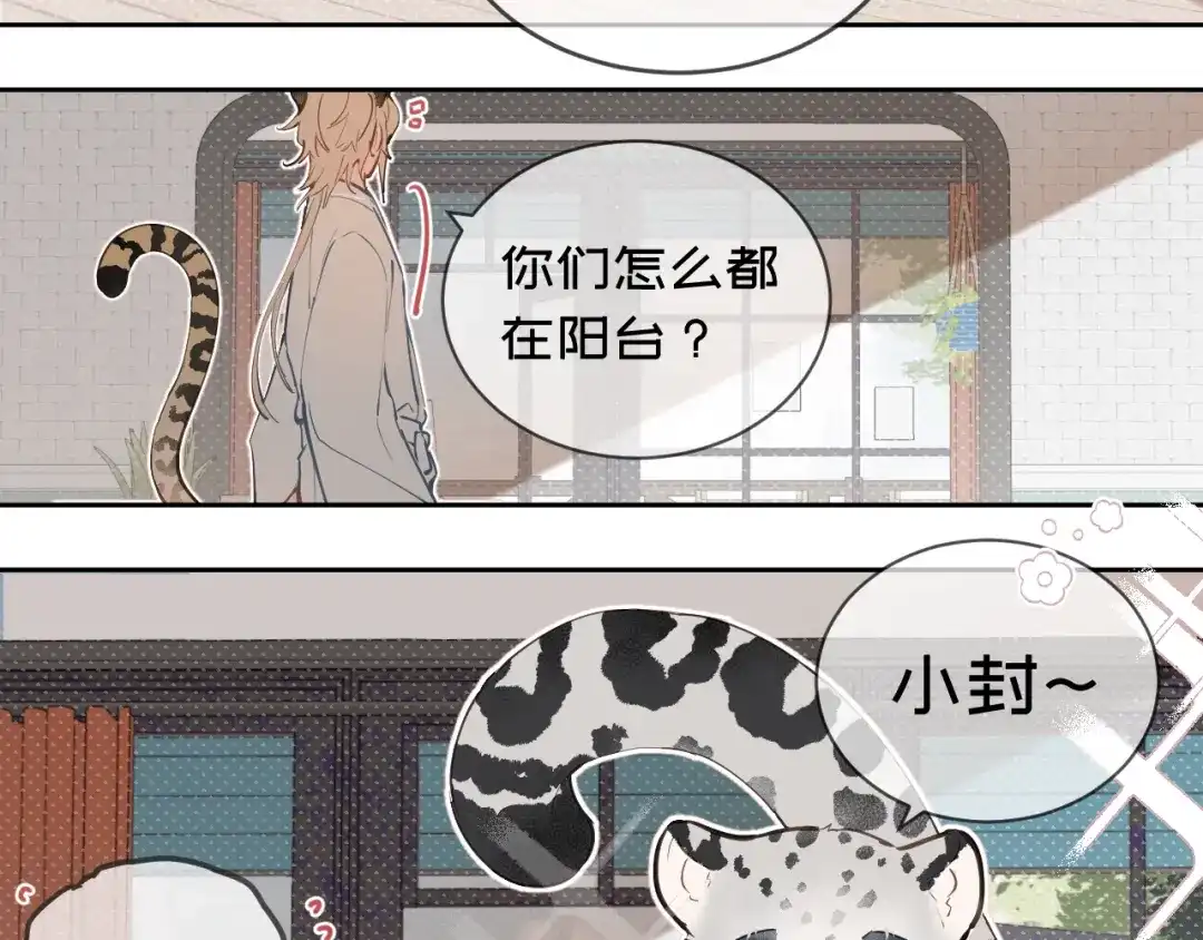 11阳光-弟弟是只猫-HuntSnow（第11张）