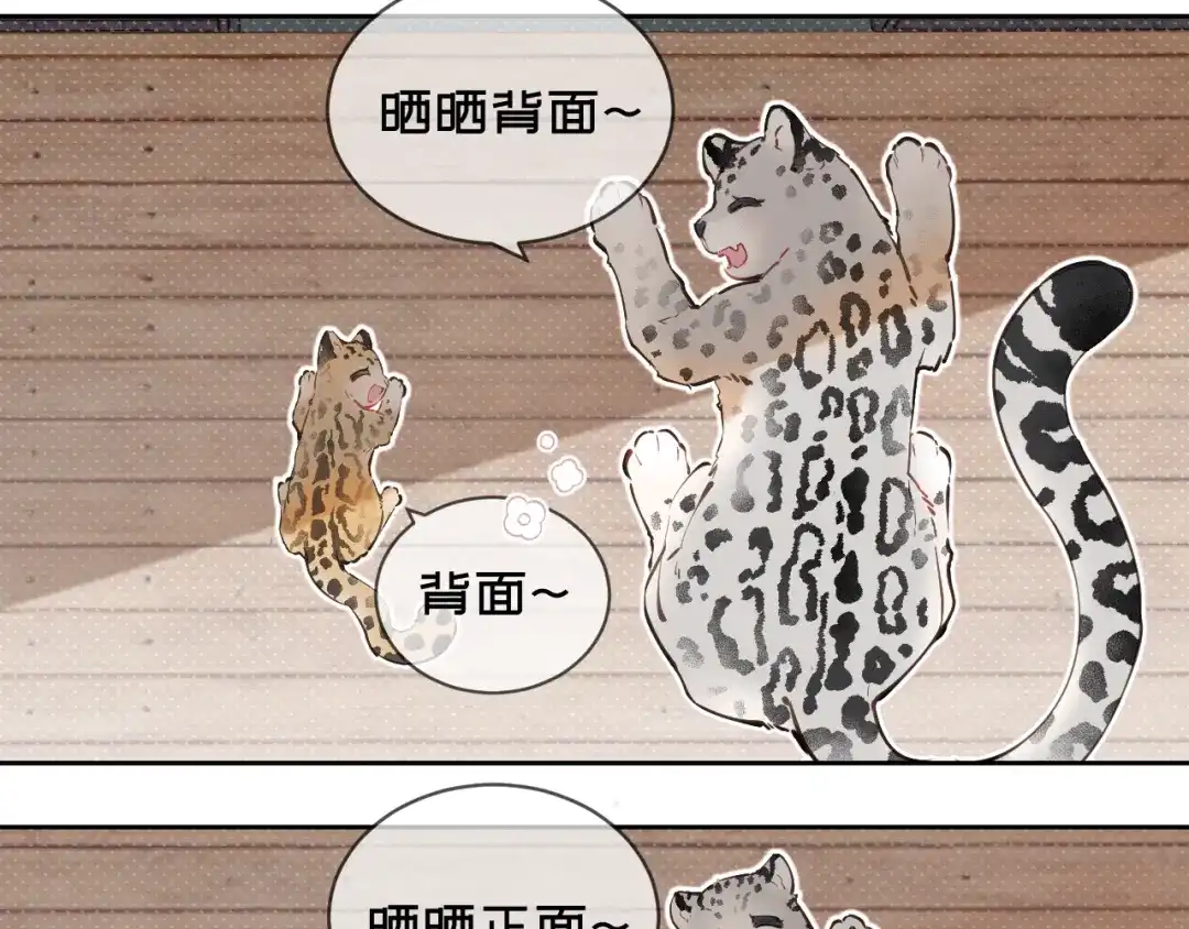 11阳光-弟弟是只猫-HuntSnow（第5张）