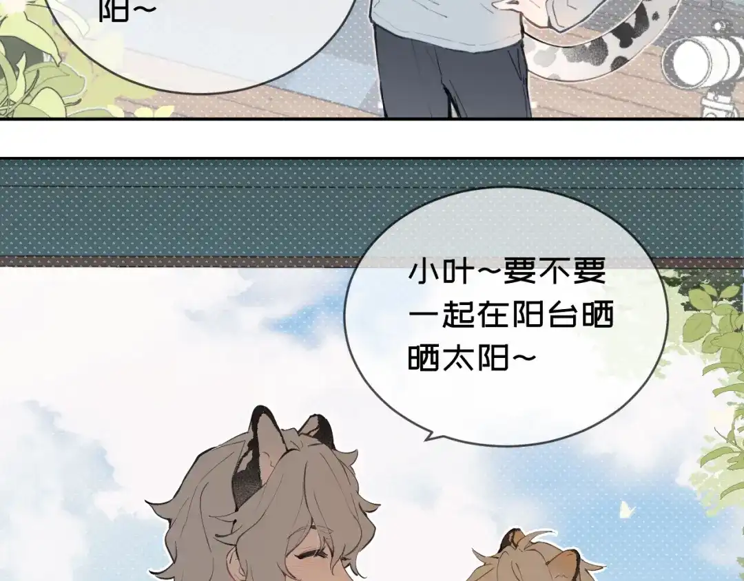 11阳光-弟弟是只猫-HuntSnow（第2张）