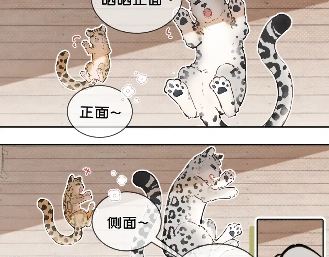 11阳光-弟弟是只猫-HuntSnow（第6张）
