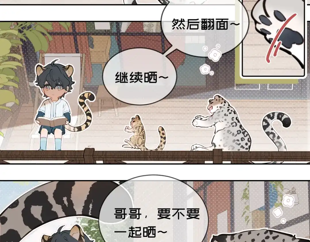 11阳光-弟弟是只猫-HuntSnow（第7张）