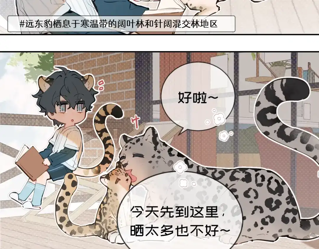 11阳光-弟弟是只猫-HuntSnow（第10张）