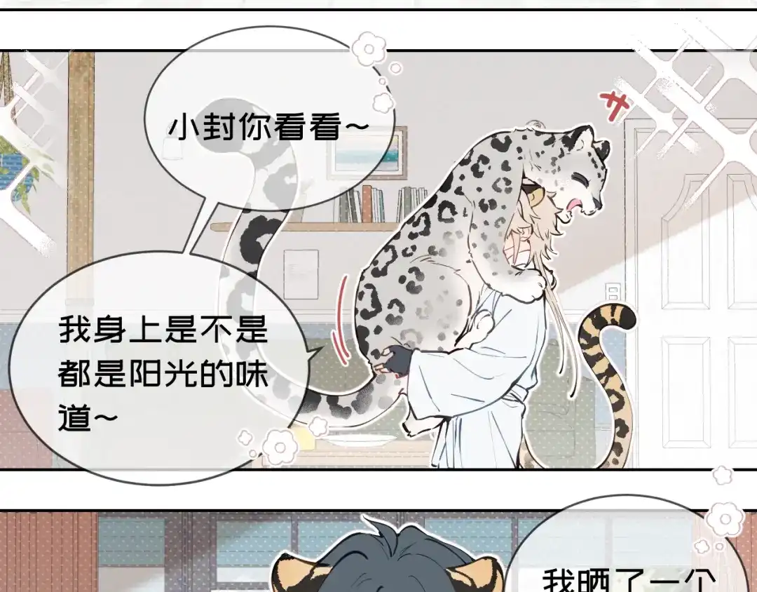 11阳光-弟弟是只猫-HuntSnow（第13张）