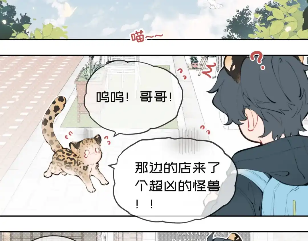 12连帽衣-弟弟是只猫-HuntSnow（第3张）