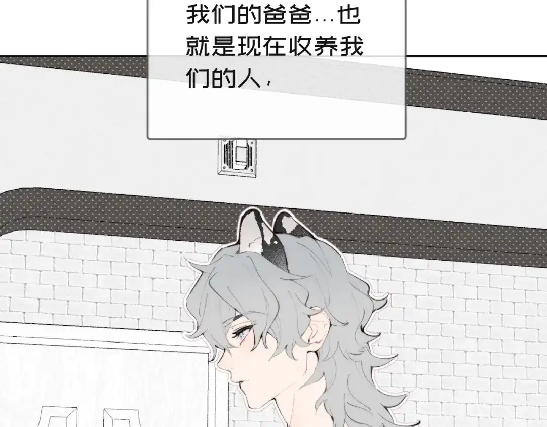06爸爸-弟弟是只猫-HuntSnow（第1张）