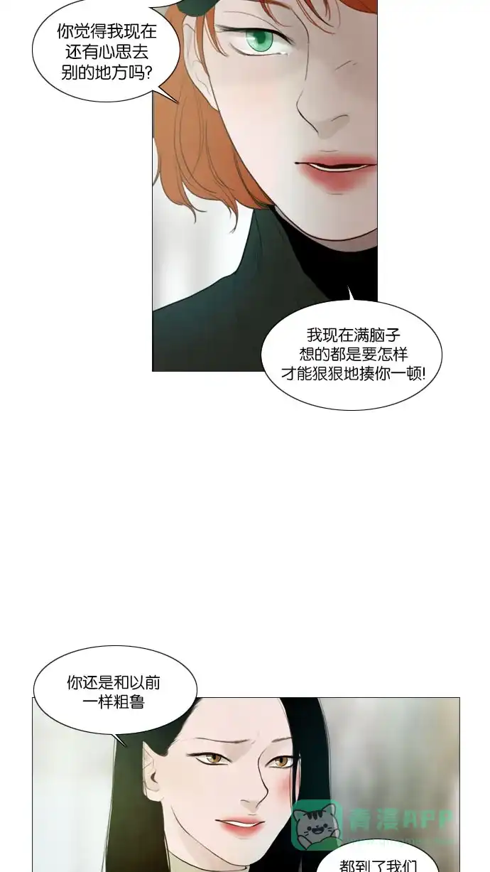 第98话-冬之森-COSMOS（第9张）