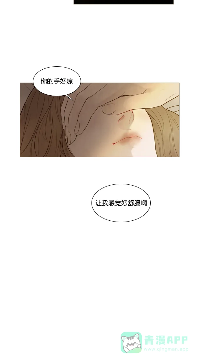 第102话-冬之森-COSMOS（第5张）