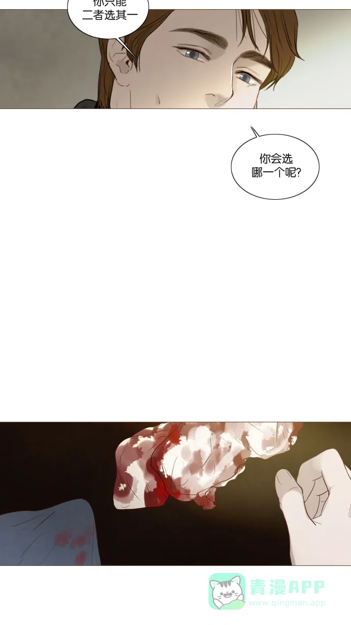 第105话-冬之森-COSMOS（第1张）