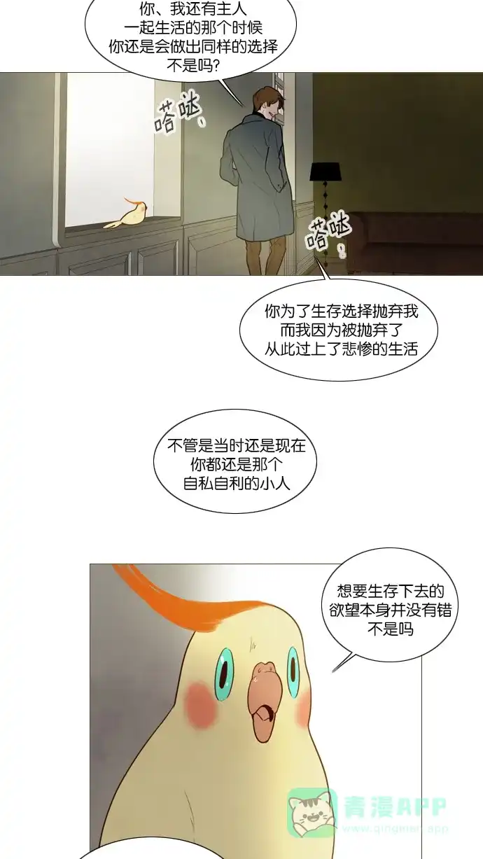 第105话-冬之森-COSMOS（第20张）