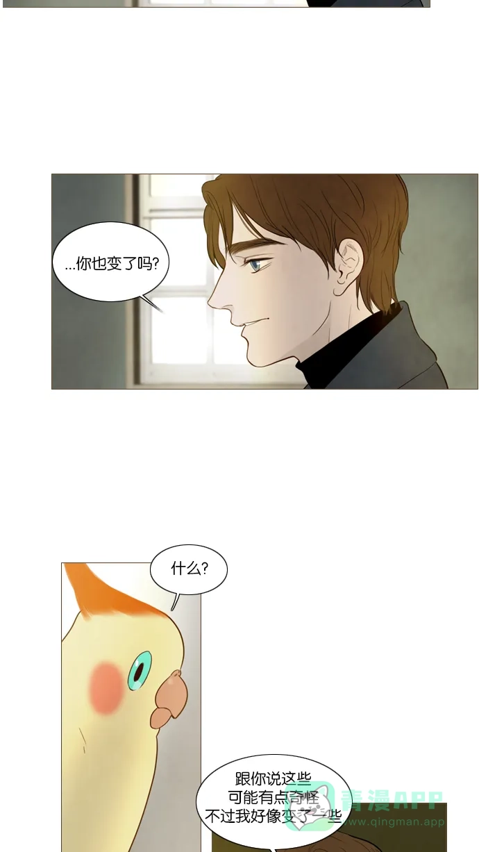 第105话-冬之森-COSMOS（第23张）