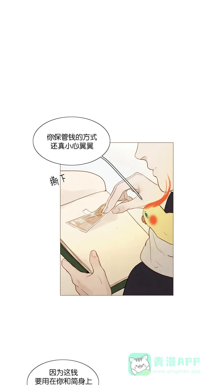 第113话-冬之森-COSMOS（第9张）