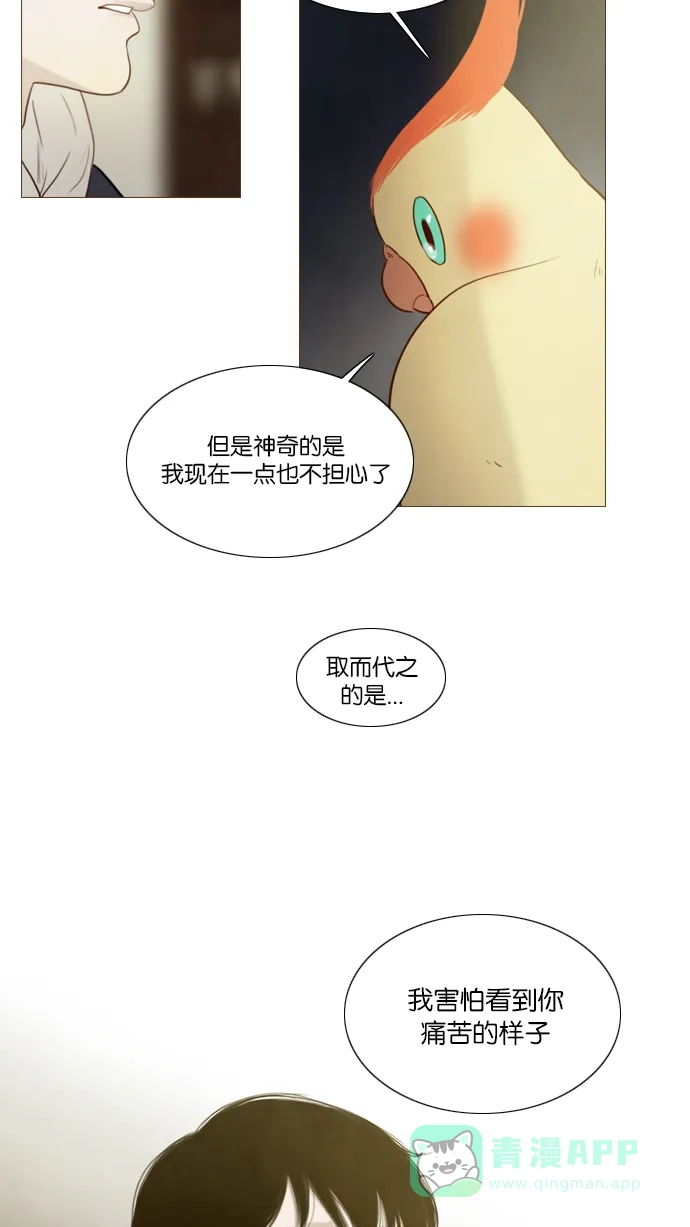 第114话-冬之森-COSMOS（第6张）