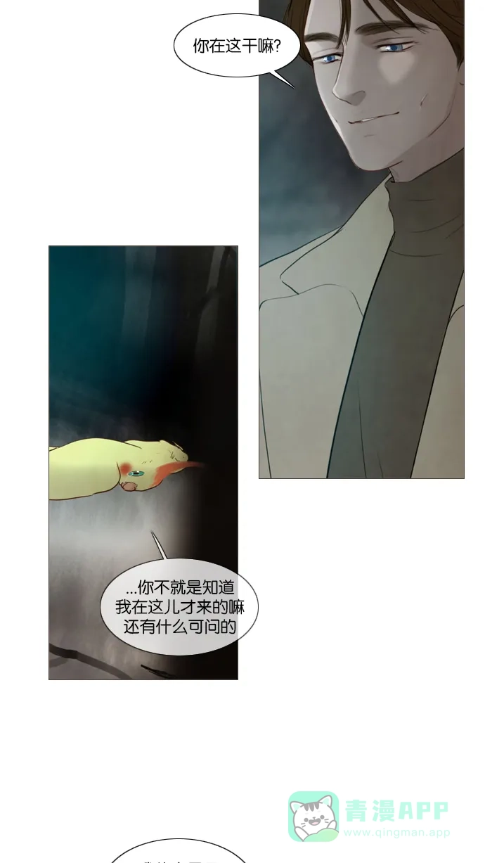 第115话-冬之森-COSMOS（第4张）