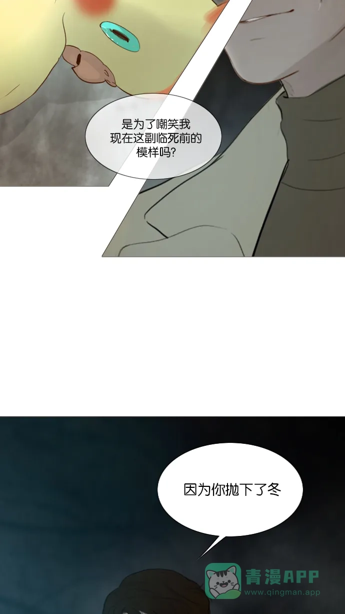第115话-冬之森-COSMOS（第10张）