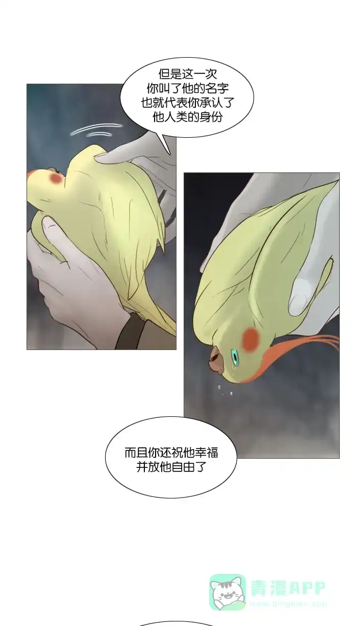 第115话-冬之森-COSMOS（第14张）