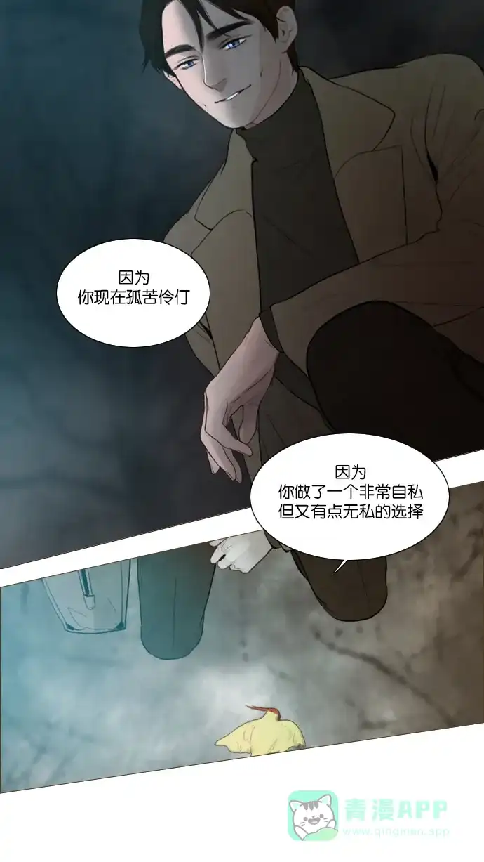 第115话-冬之森-COSMOS（第11张）