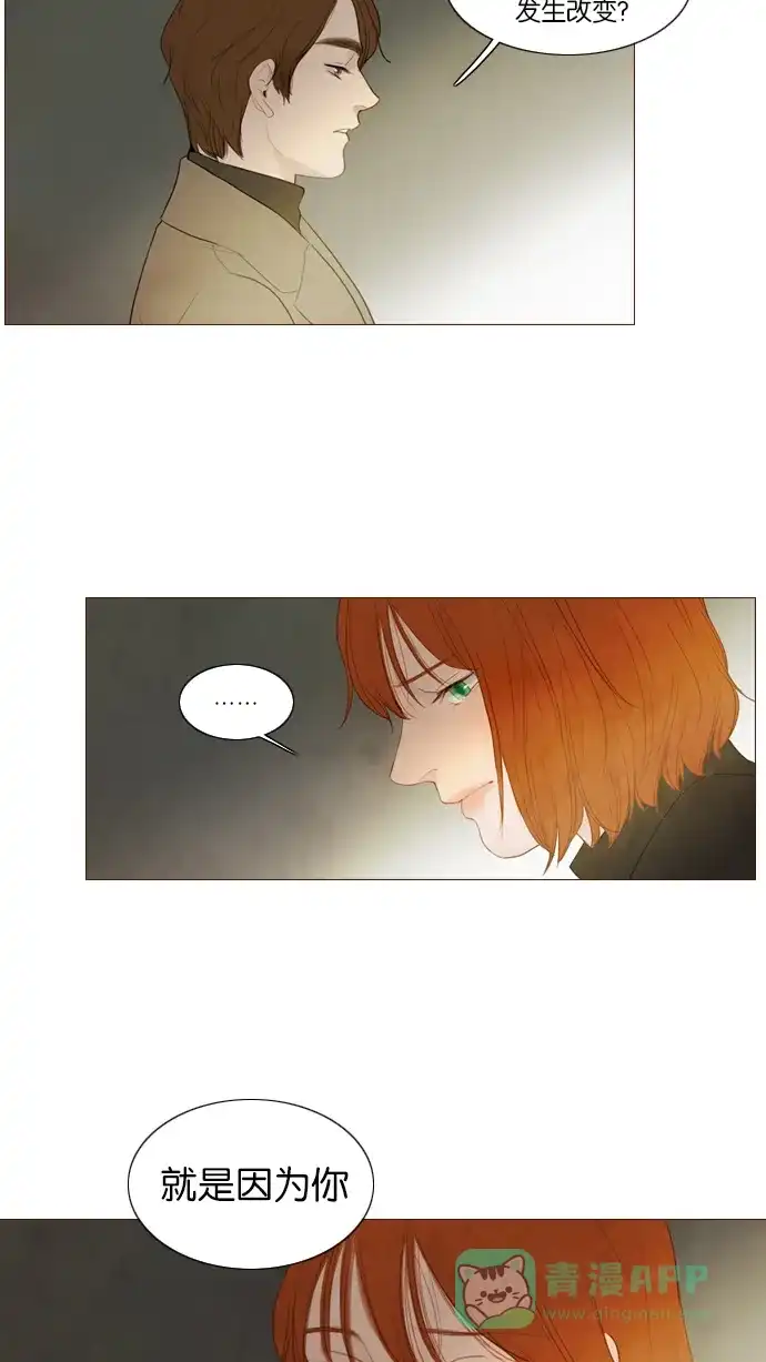 第117话-冬之森-COSMOS（第10张）