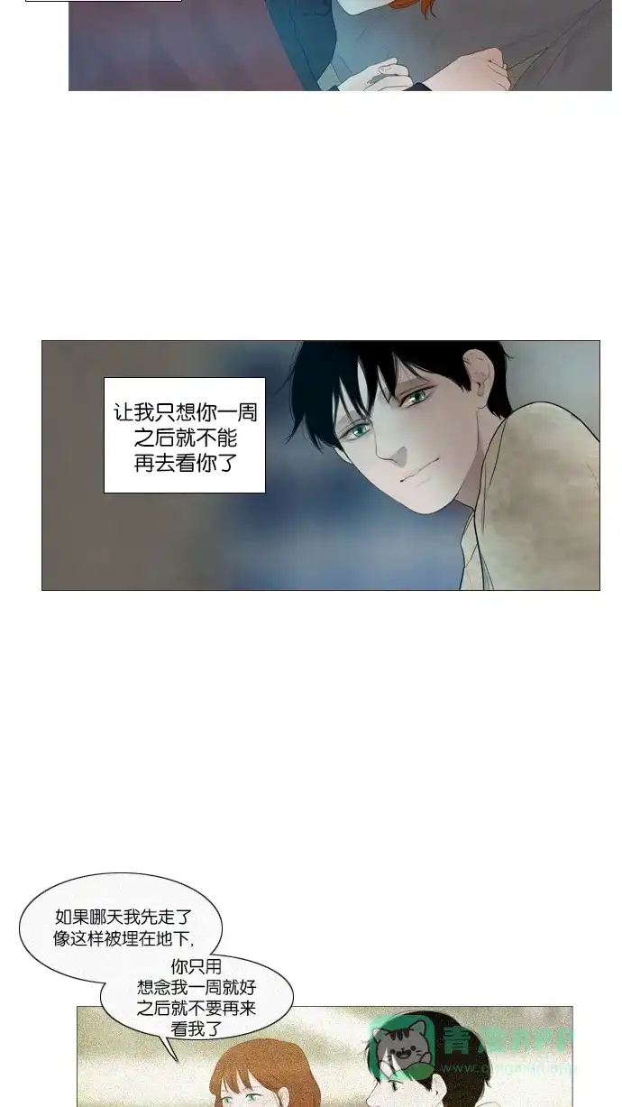 第120话-冬之森-COSMOS（第3张）