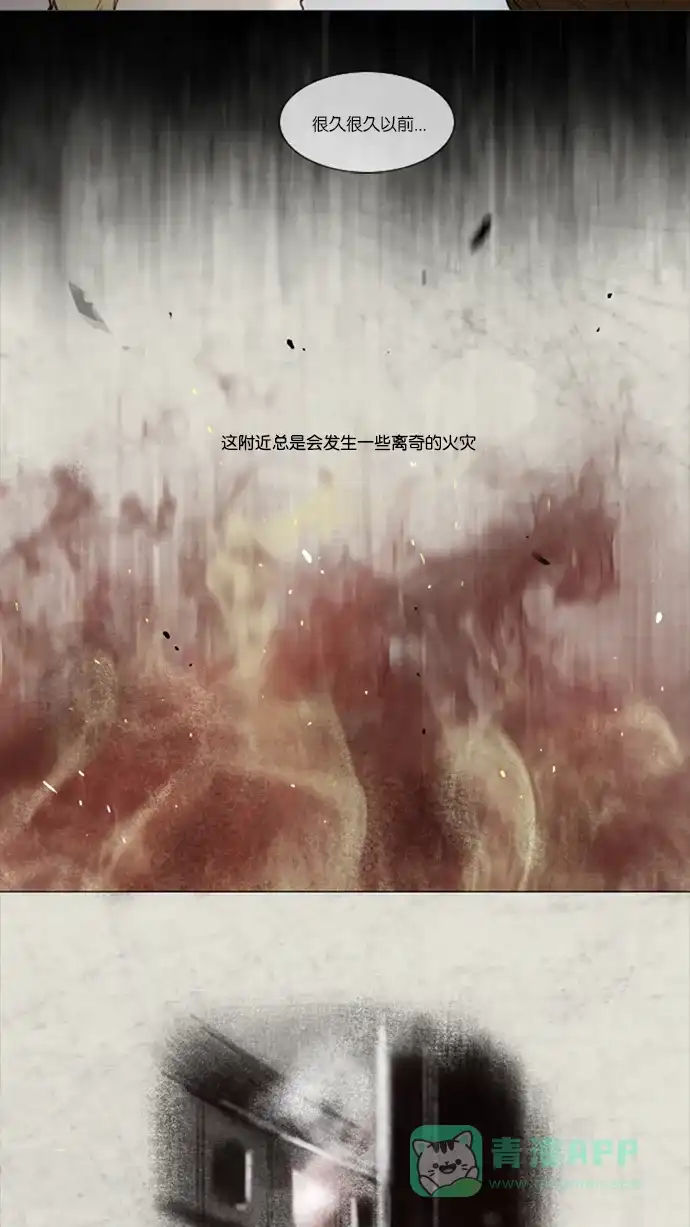 第34话-冬之森-COSMOS（第4张）
