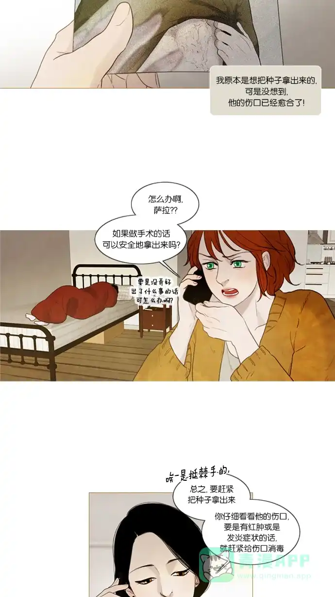 第36话-冬之森-COSMOS（第8张）