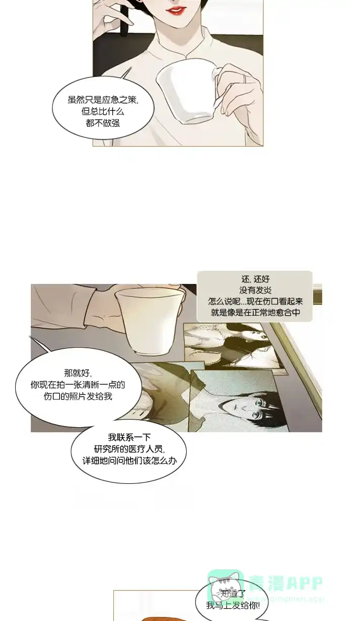 第36话-冬之森-COSMOS（第9张）