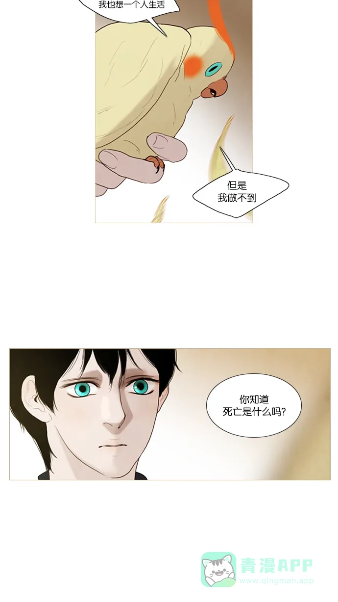第37话-冬之森-COSMOS（第20张）