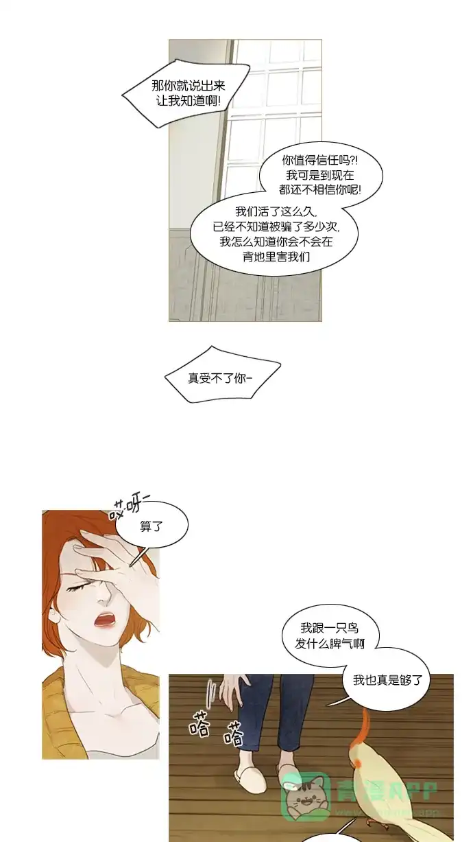 第37话-冬之森-COSMOS（第13张）