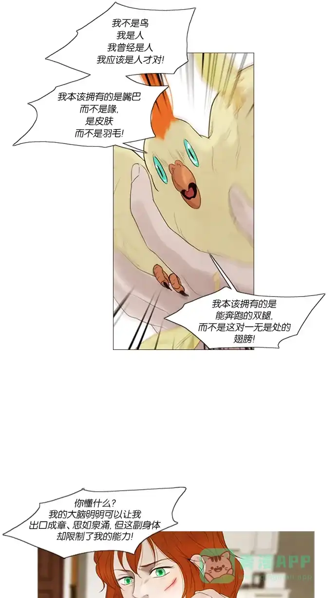 第37话-冬之森-COSMOS（第18张）