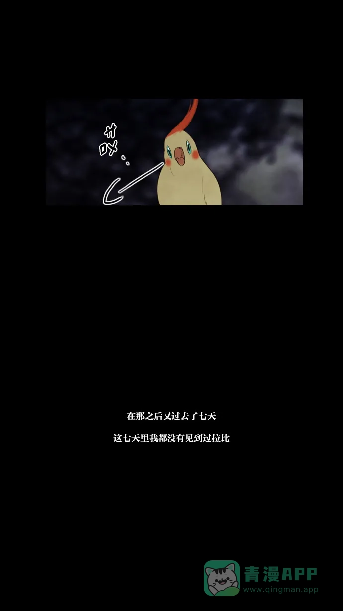 第46话-冬之森-COSMOS（第12张）
