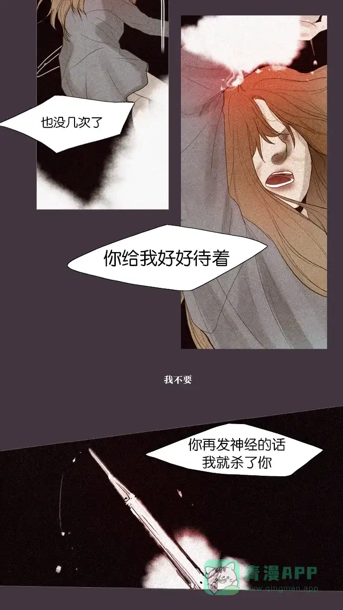 第48话-冬之森-COSMOS（第10张）