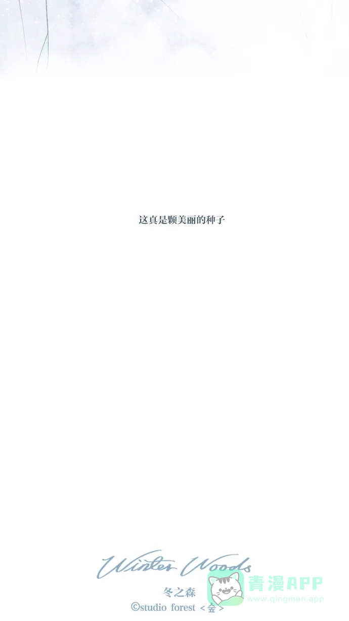 【免费】第二季预告-冬之森-COSMOS（第15张）
