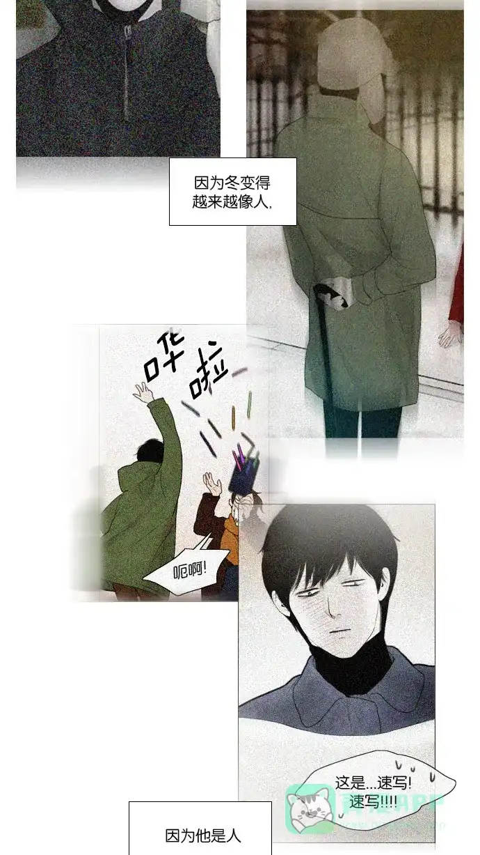 第74话-冬之森-COSMOS（第12张）