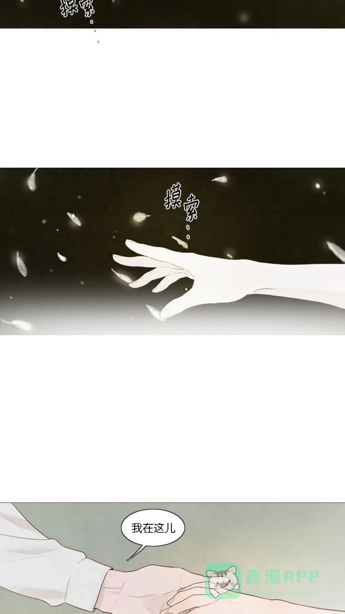 第77话-冬之森-COSMOS（第3张）