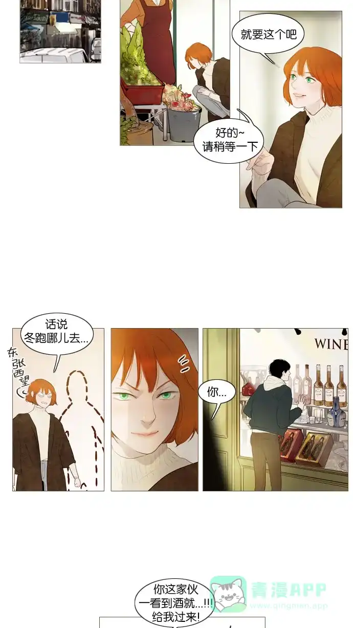 第78话-冬之森-COSMOS（第9张）