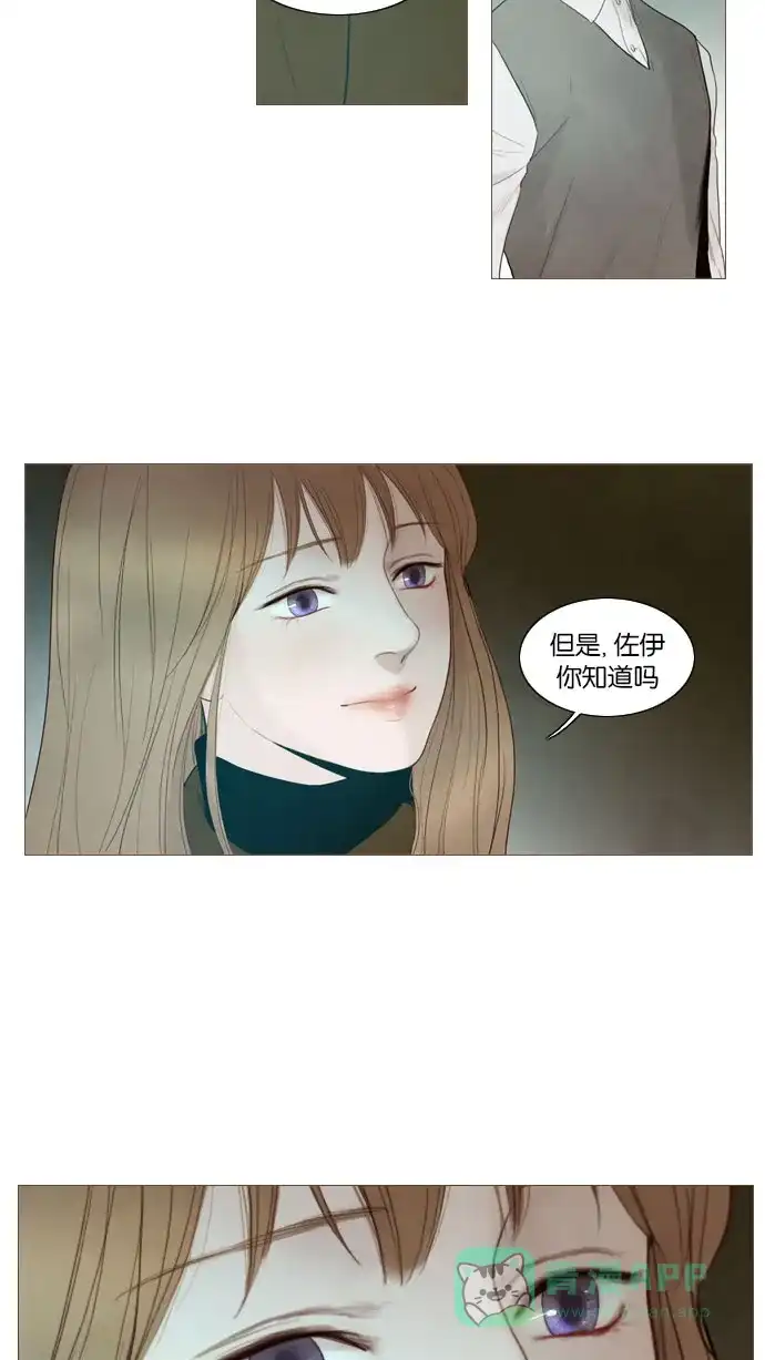 第83话-冬之森-COSMOS（第15张）