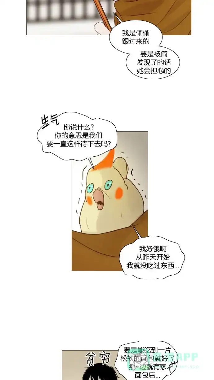 第86话-冬之森-COSMOS（第3张）