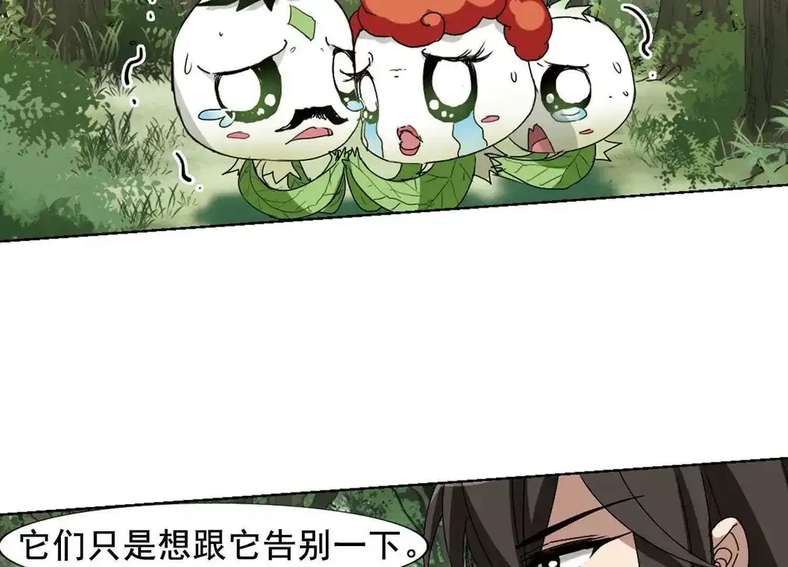 第202话太后回朝1(1)-凤逆天下-飒飒动漫（第16张）