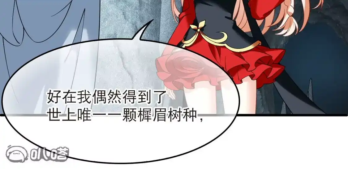 第2季323话谁说樨眉灭绝了？1-风起苍岚-飒飒动漫（第24张）